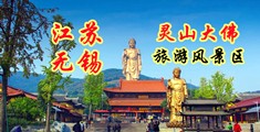 国产优物AV江苏无锡灵山大佛旅游风景区