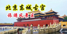 强暴美女美穴很近很爽视频中国北京-东城古宫旅游风景区