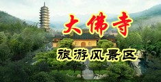 黑鬼白浆中国浙江-新昌大佛寺旅游风景区